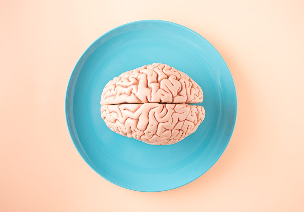 A-human-brain-anatomical-model-on-a-white-plate