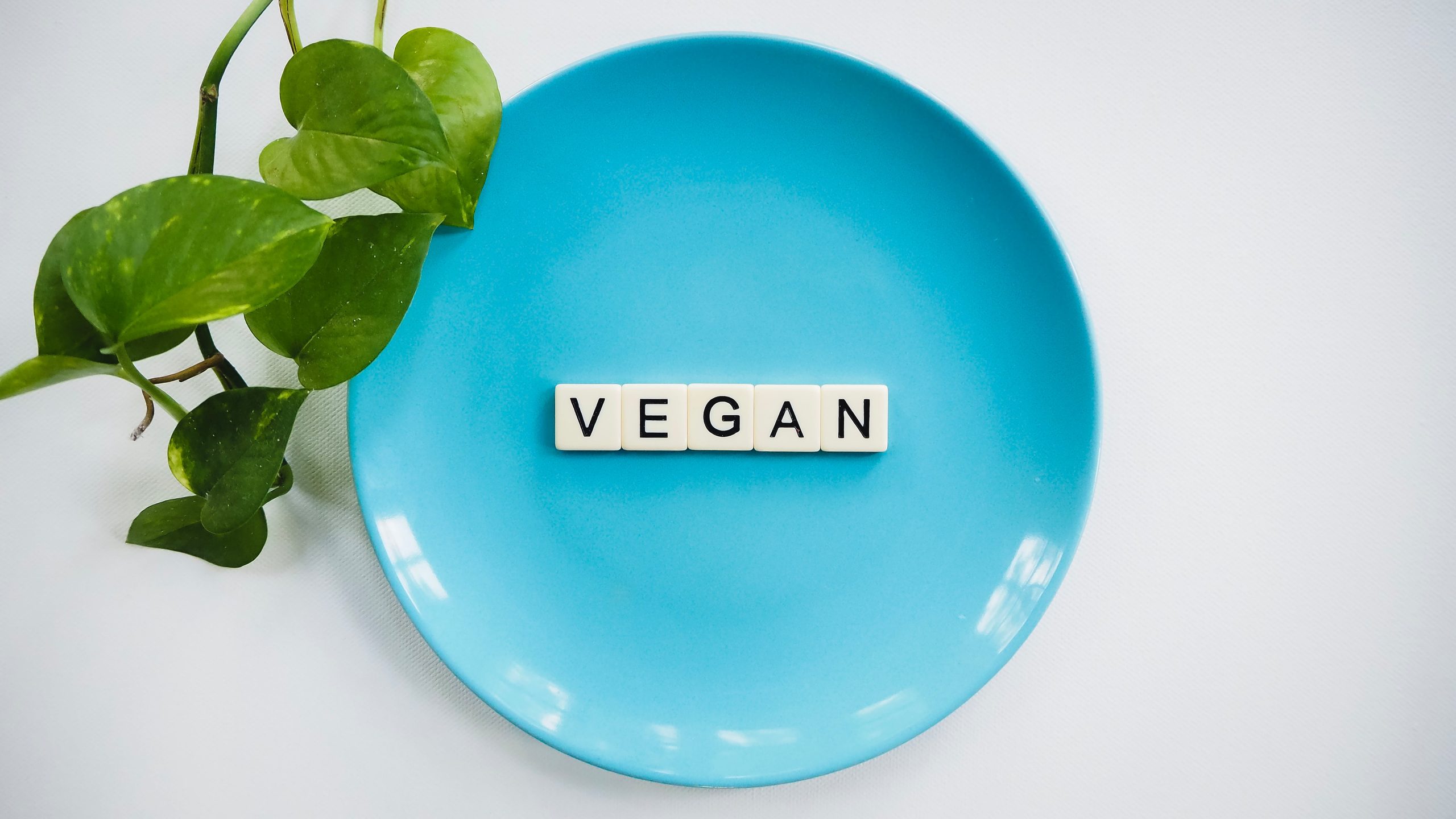 a plat with the world vegan spelled