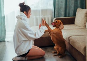 a lady playing with her dog