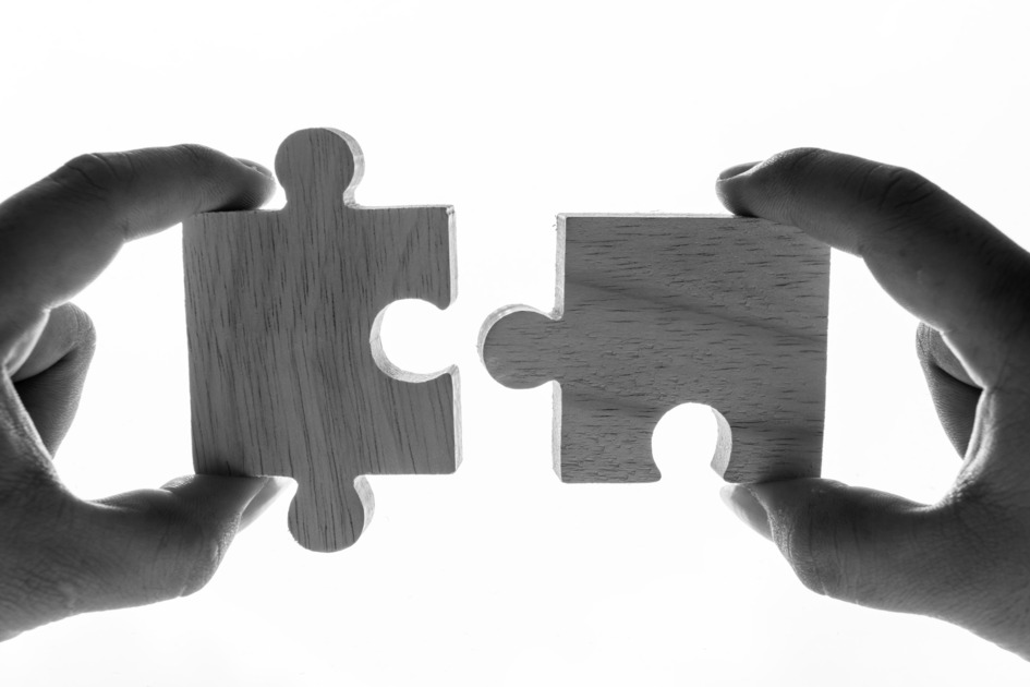 macro-shot-of-jigsaw-puzzles-teamwork-concept-2025-02-10-10-57-28-utc-1.jpg
