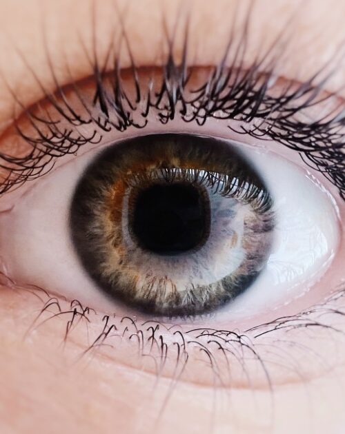 A macro image of a woman’s eye and eyelashes
