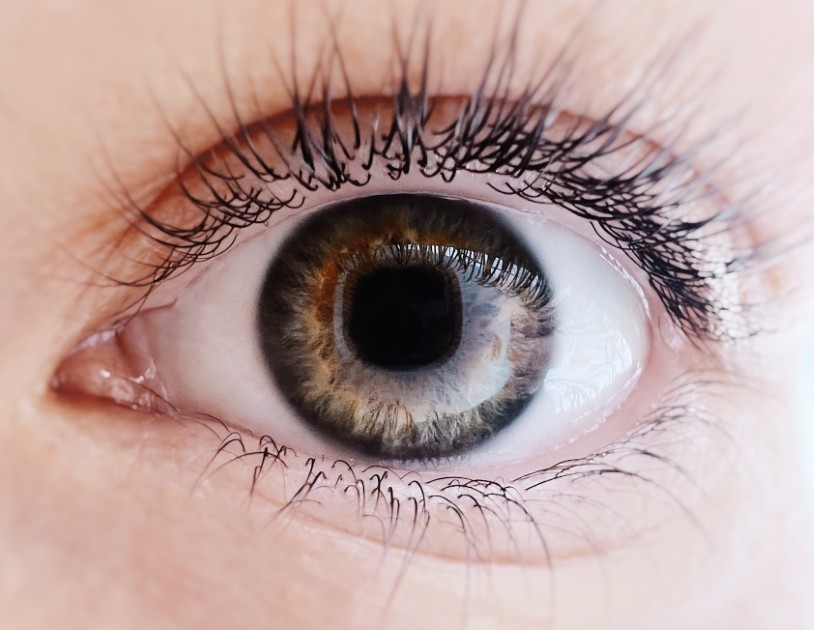 A macro image of a woman’s eye and eyelashes