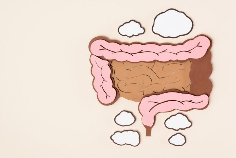flat-lay-with-human-large-intestine-on-beige